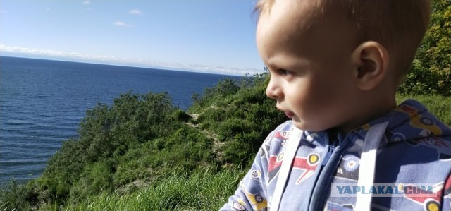 Я живу в Калининграде