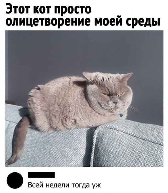 Так себе картинки 04.04.22