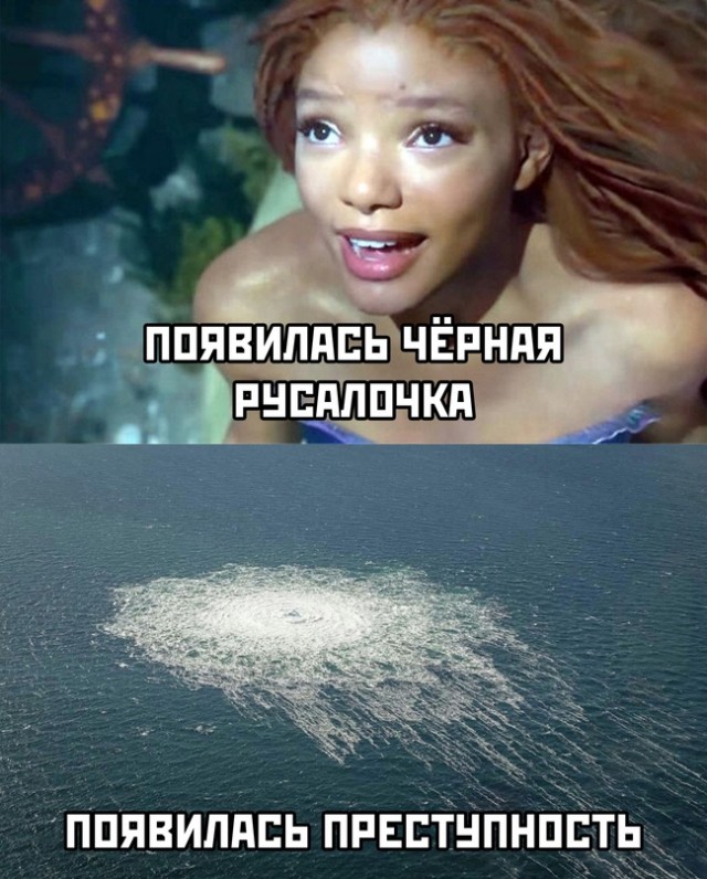 Весёлый полтишок 02.10.22