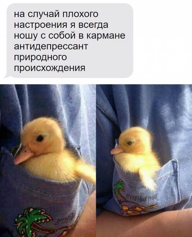 Немного картинок для настроения - 117