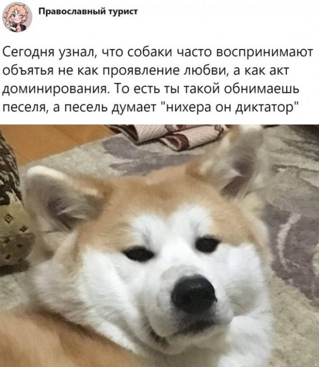 Немного картинок для настроения - 131