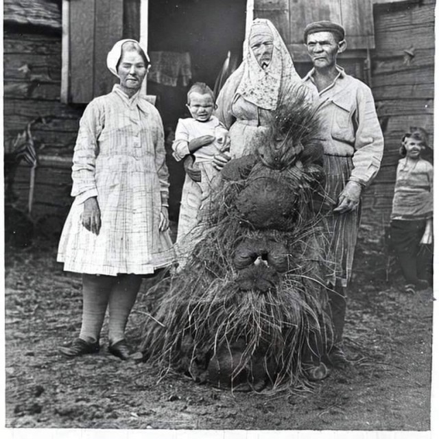 Коллеги, сельская жизнь!