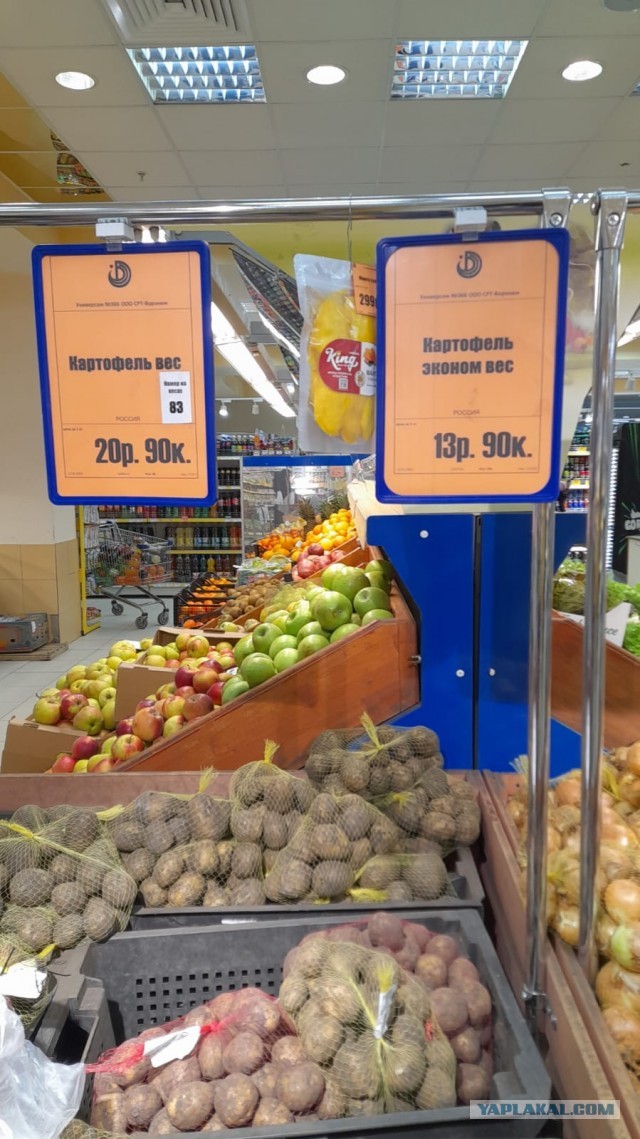 Какие продукты можно купить нынче в Испании на 100 евро или Как изменились цены за последний год