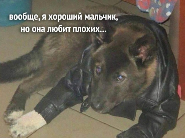 Немного картинок для настроения - 135