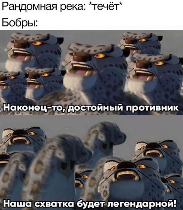 Немного картинок для настроения - 139