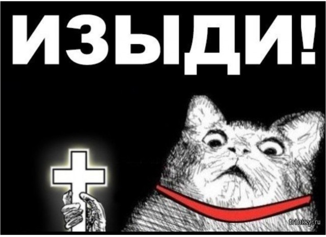 Победная поступь идиотизма по планете – том 14