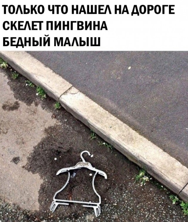 Так себе картинки 13.07.23