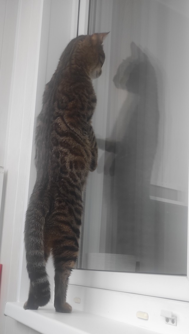 Праздник так-то