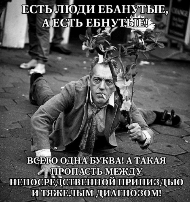 Блогерша выставила на продажу свои лобковые волосы за 100к