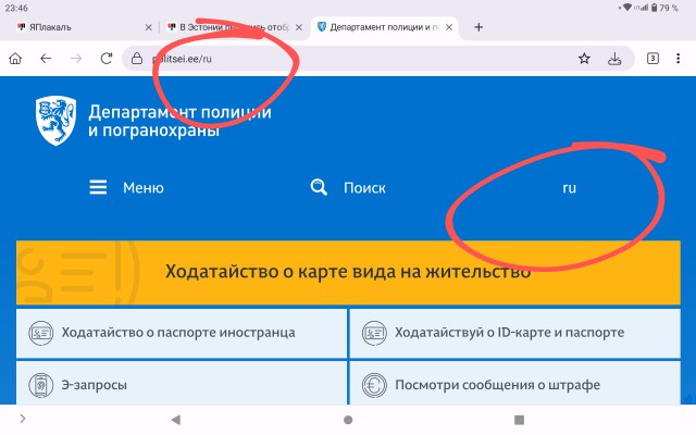 В Эстонии пытались отобрать шапки у туристов, перепутав флаги России и Словакии