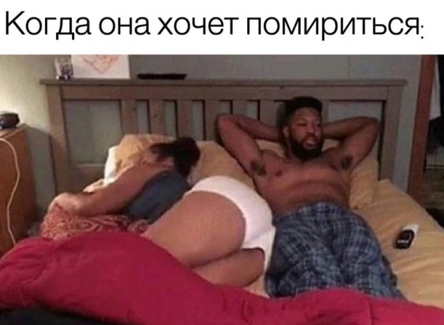 Весёлый полтишок 18.12.2023
