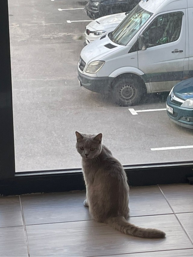 Вот и я стал рабом.