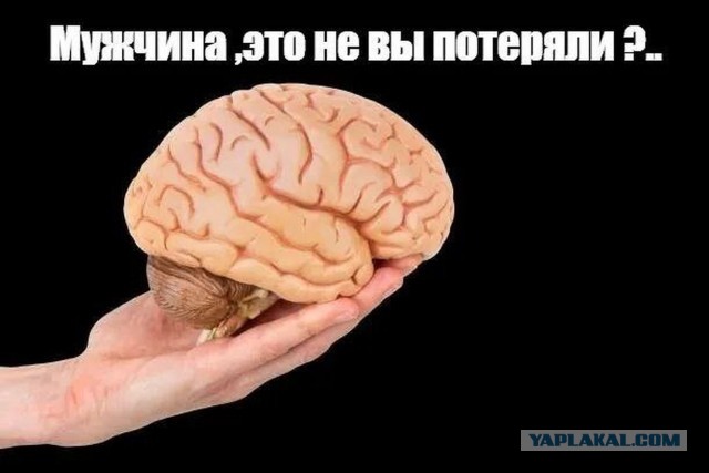 «Народ подраспустился». Депутат Госдумы Матвеев записал видео, полное горечи. Скрепы сумками ломают