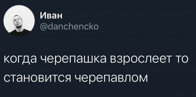 В Москве-реке в Братеево мужчина во время рыбалки выловил огромную черепаху