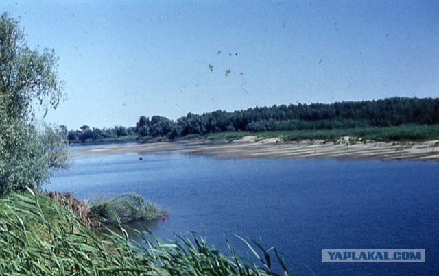 Особенности рыбалки на сома
