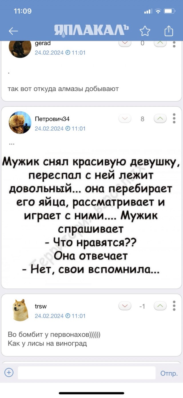 По поводу алжирца, который избивает баб на ринге