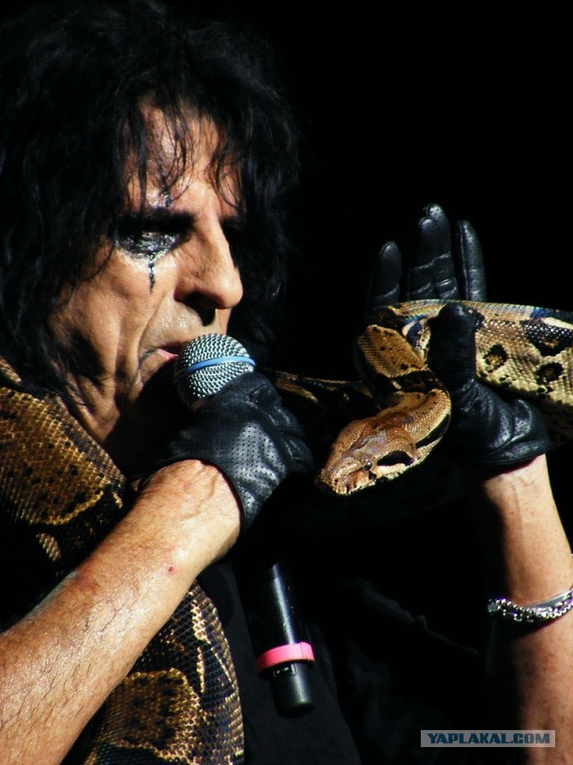 Музыка и музыканты: Aerosmith последний тур