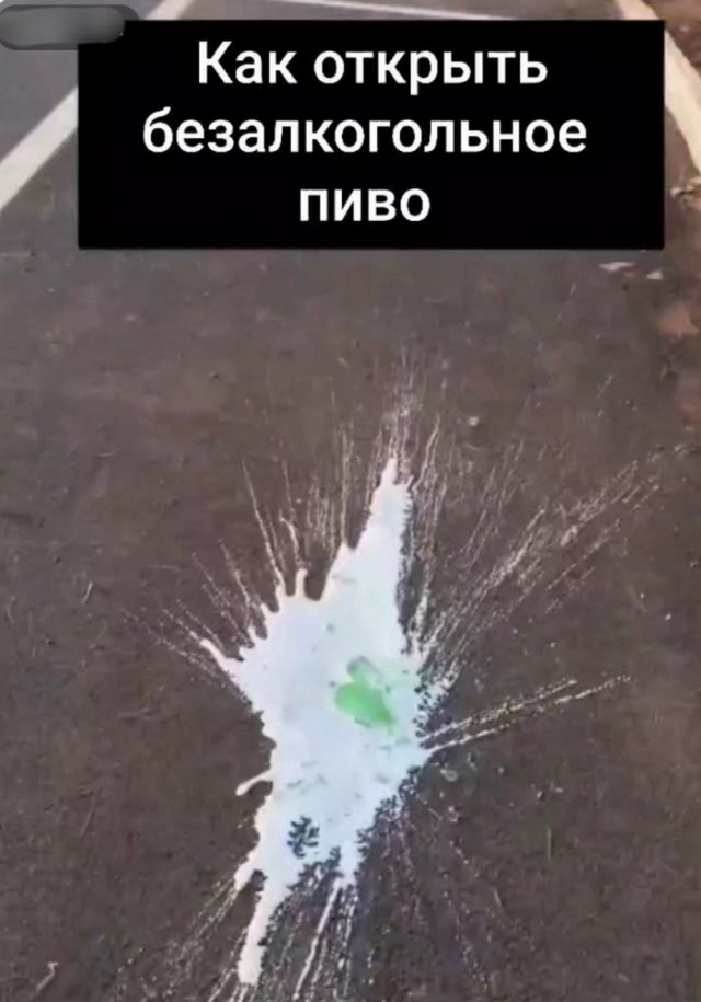 Немного забавных картинок от 18.08.2024