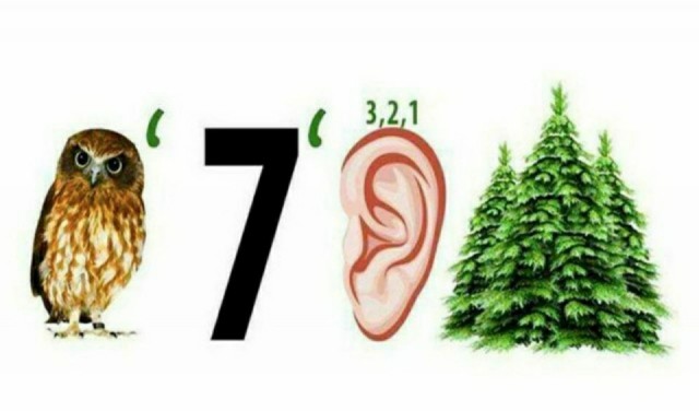 Интеллект - это...