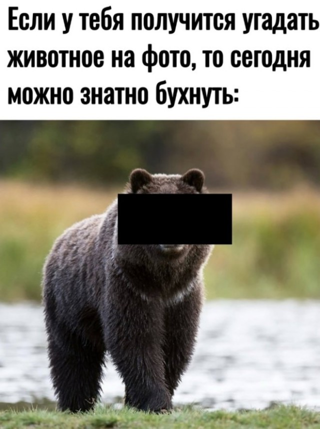 Так себе картинки 16.10.24