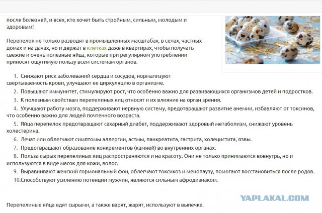 Мой типичный завтрак