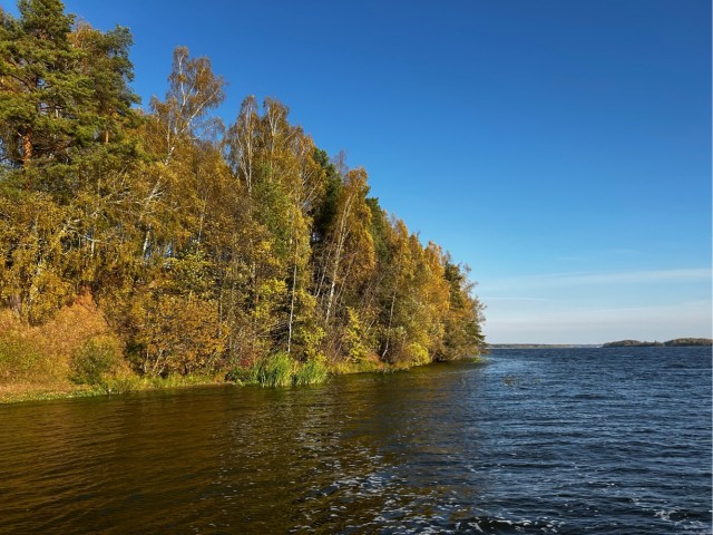 Фото с телефона