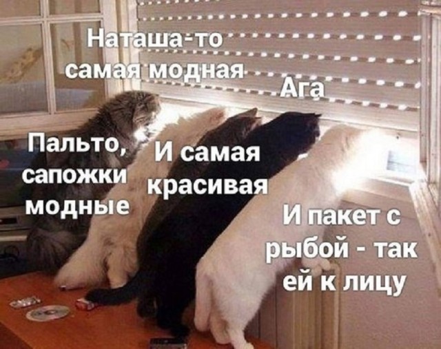 Так себе картинки 26.02.25