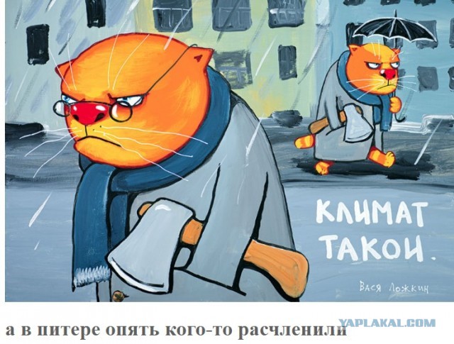 Человеческие останки в чемодане обнаружили в историческом районе Питера , в Рыбацком