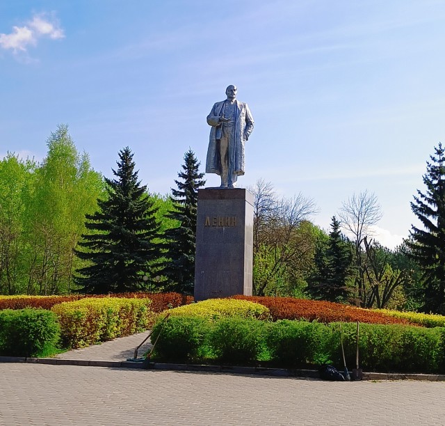 Сходил в магазин?