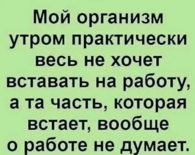 Так себе картинки 18.05.25