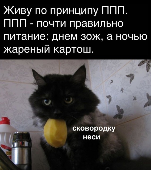 Так себе картинки 15.06.25