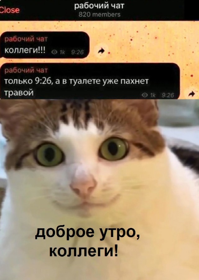 Так себе картинки 03.07.25
