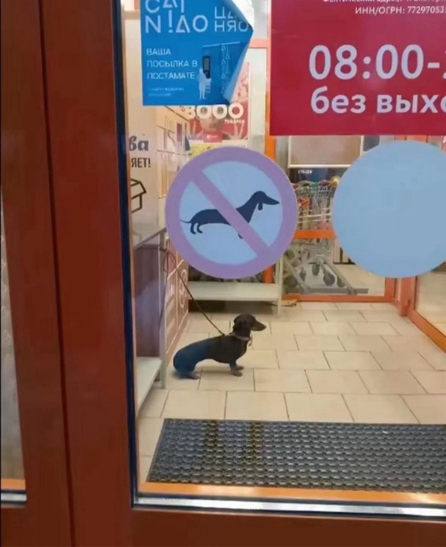 Так себе картинки 09.07.25