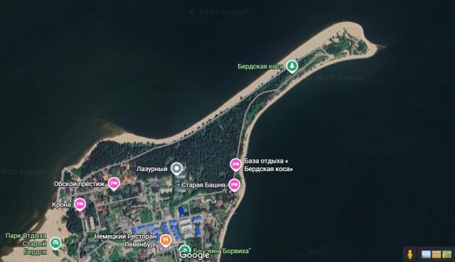 Члены клуба «BMW Новосибирск» устроили скандал из-за места на берегу Бердского залива