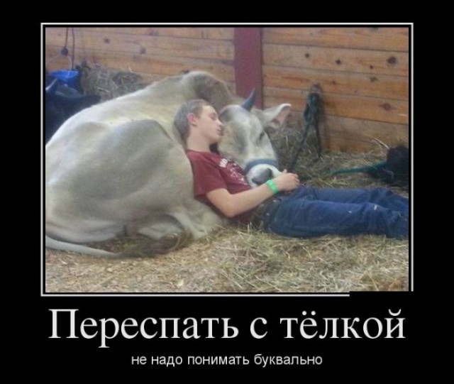 Готовим вместе с Хавроньей
