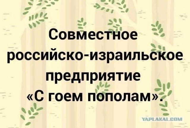 Куча мала 6