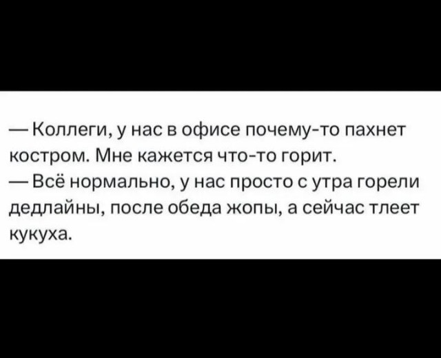 Так себе картинки 31.12.25