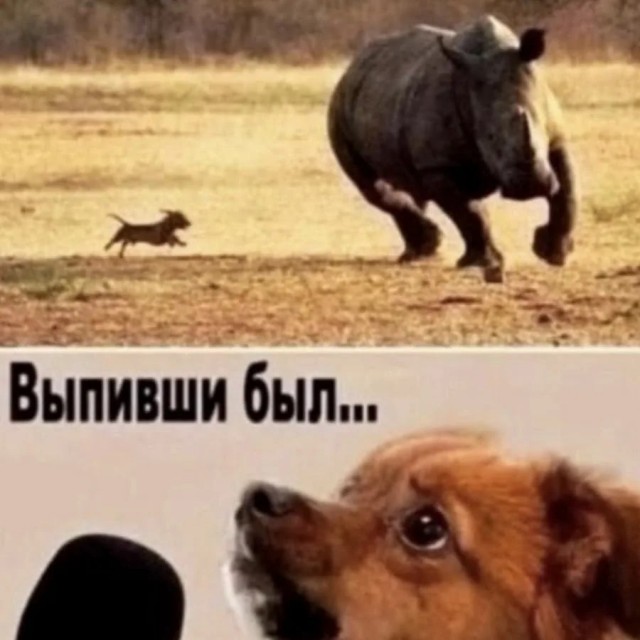 Ты на физику не смотри, он духом сильный