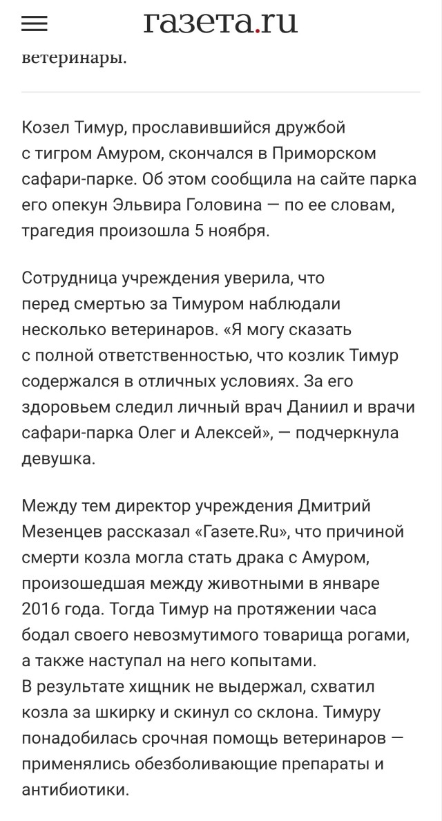 У медведя Терпея из зоопарка появилась подруга — утка, которая почти неделю живет в его вольере
