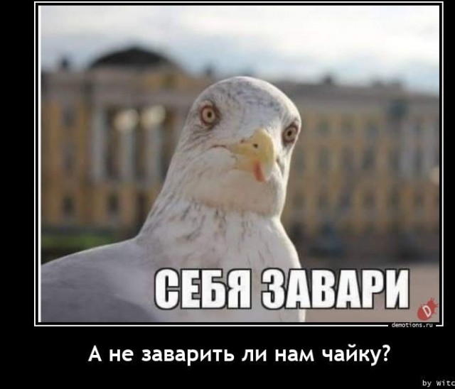 ДТП на пешеходном переходе