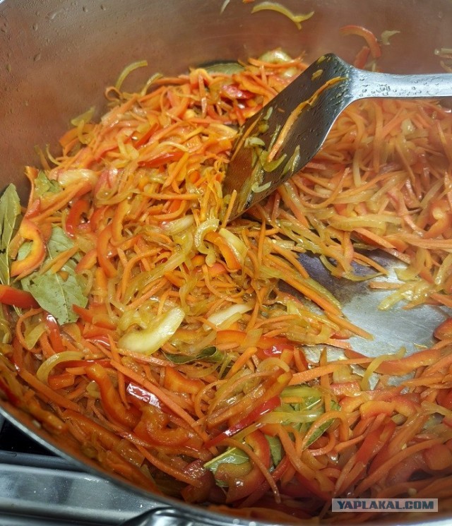 Трактат о борще без мяса и на воде