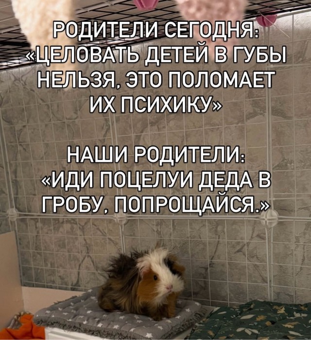 Веселое настроение в картинках 18.08.26