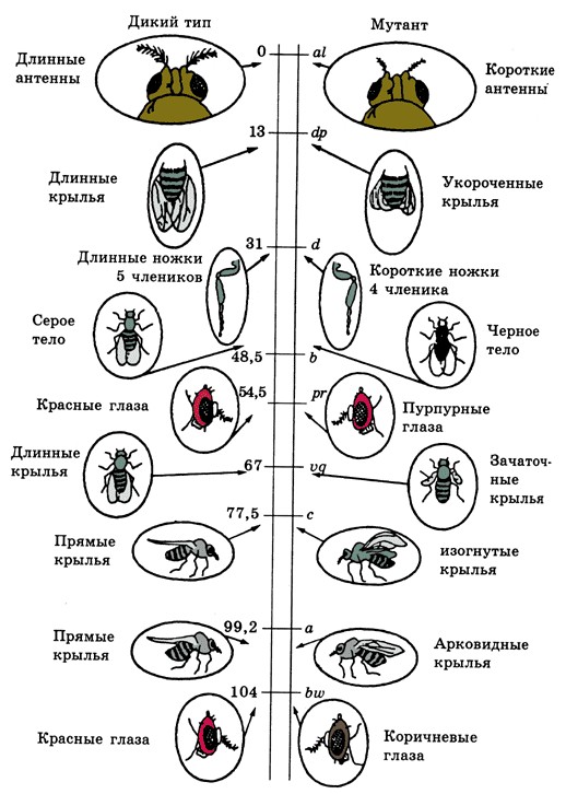 Разве это не удивительно ...