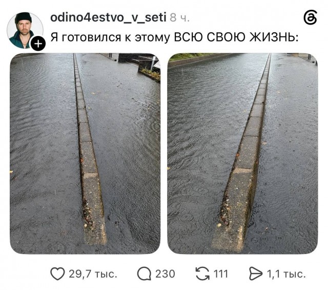 Вот ты падла