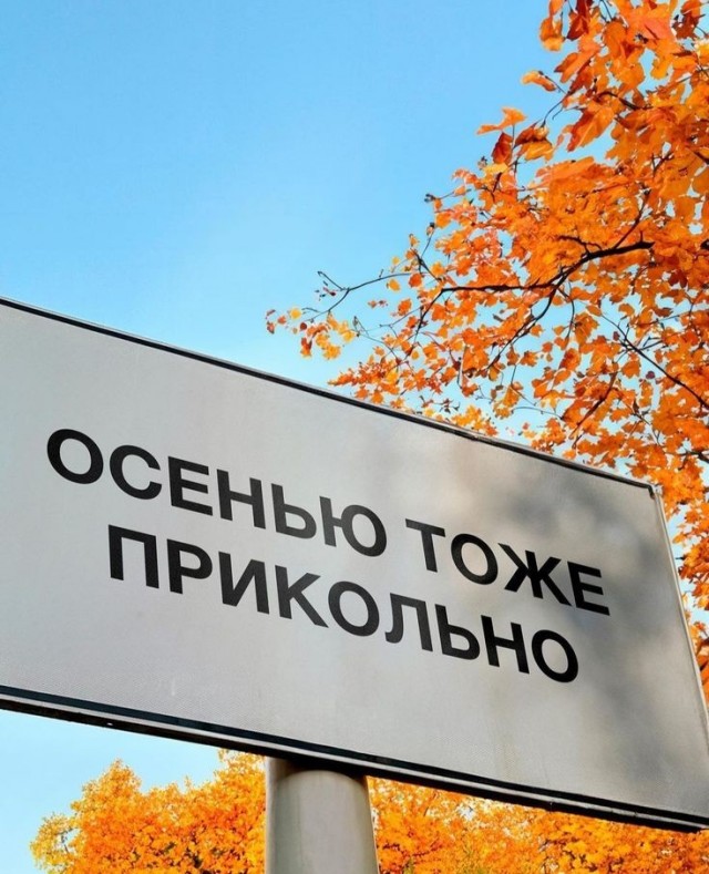 Прикольные и просто красивые картинки 16.10.2026