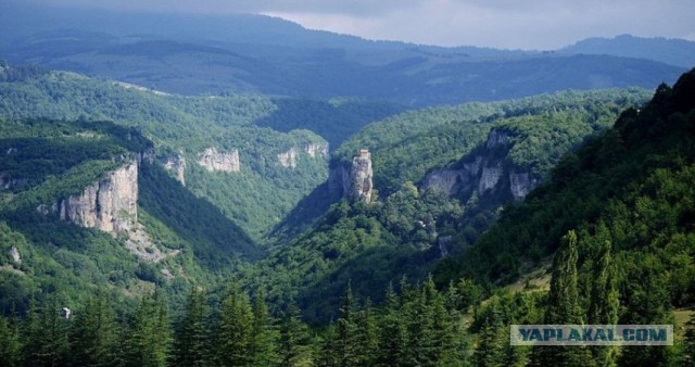 Двадцать лет одиночества