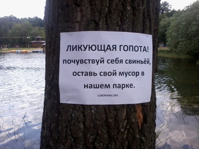 Весёлые картинки. Разбавим будни