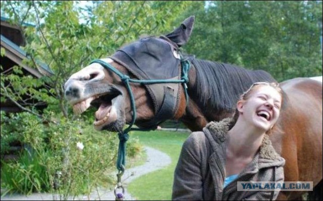 Фотки из интернета.