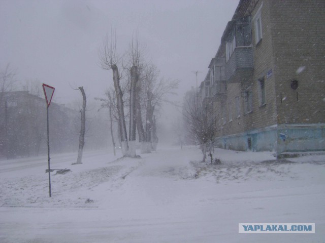 Самовыпиливание