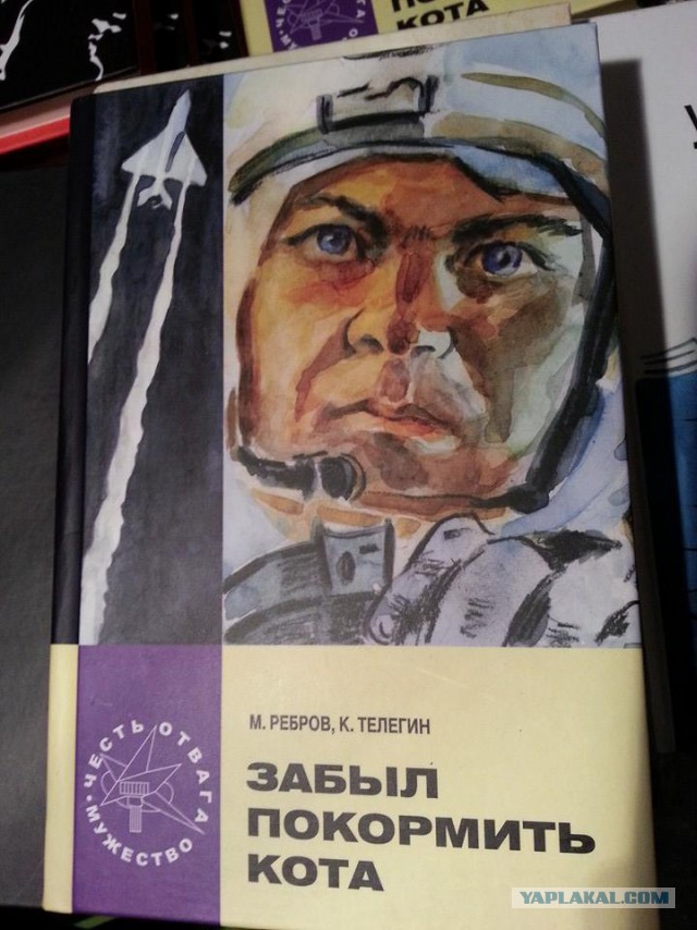Котейки Первой мировой